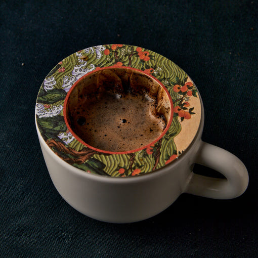 Jeju Mandarin in Drip Coffee